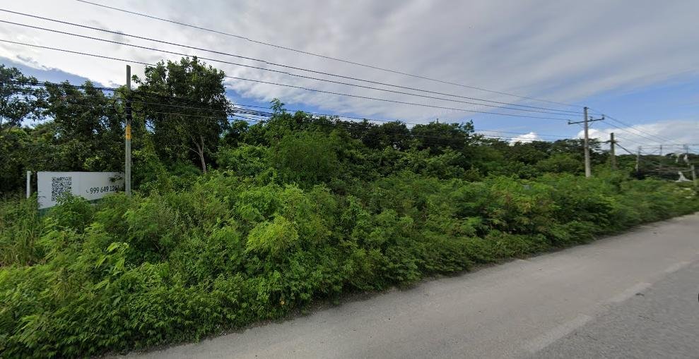 Land in Puerto Morelos, Quintana Roo, Mexiko 4 - 18881654