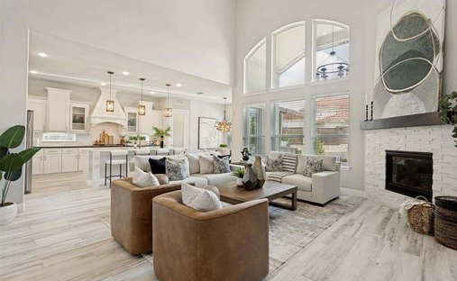 House in Frisco, Texas, United States 1