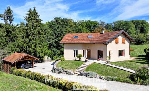Villa in Faucigny, Auvergne-Rhône-Alpes, France 1