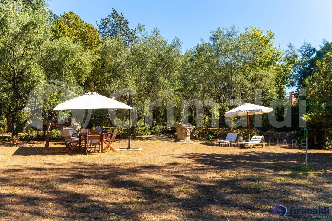 Villa a Ciampino, Lazio, Italia 4 - 17255458