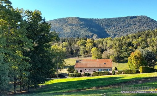 Country House in Sainte-Marie-aux-Mines, Grand Est, France 1