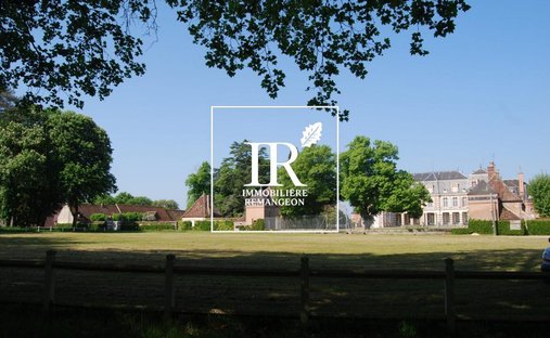 Schloss in Cerdon, Zentrum-Loiretal, Frankreich 1
