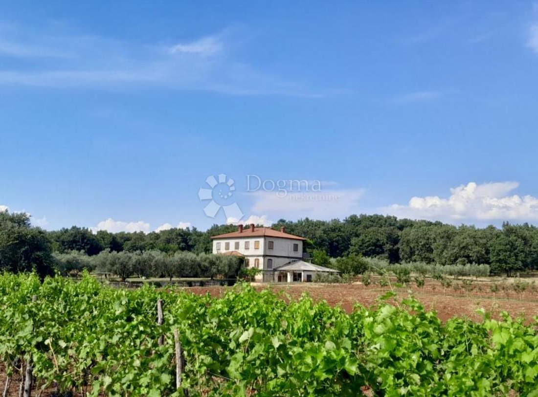 House in Juricani, Istria County, Croatia 1 - 18891793
