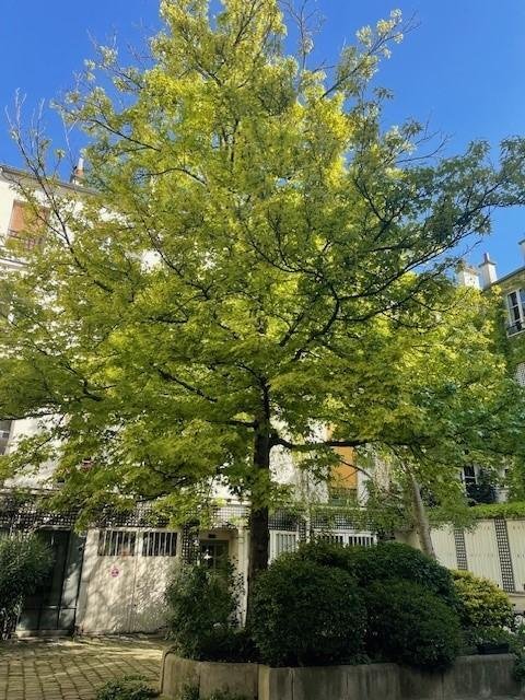 Apartamento en Bastilla-Popincourt, Paris 11e Arrondissement, París 1 - 18885090