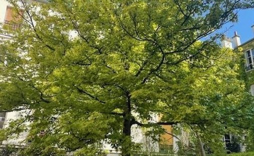 Apartment in Bastille-Popincourt, Paris 11e Arrondissement, Paris 1