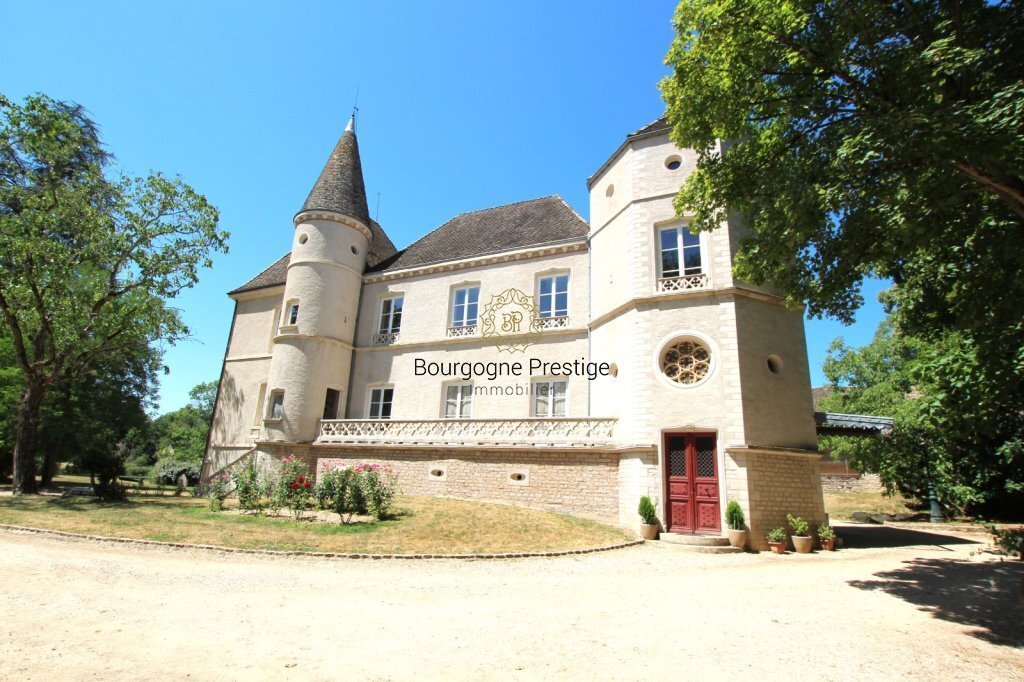 Château à Centre Ville, Tournus, France 3 - 18882153