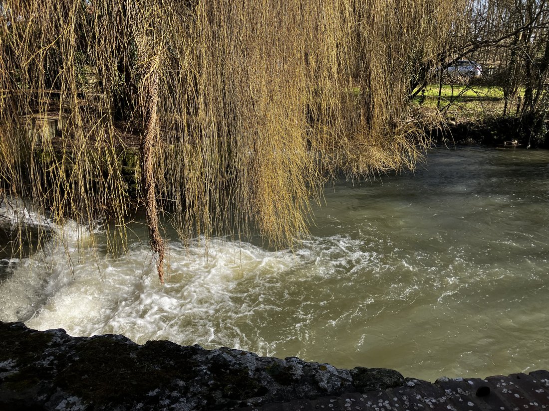 Domaine à Pacy-sur-Eure, Normandie, France 3 - 16461538