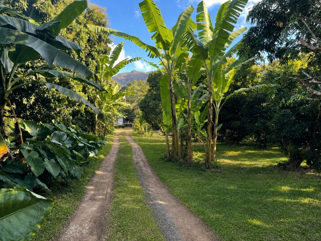 Farm Ranch in Mont-Dore, South Province, New Caledonia 2 - 18892852