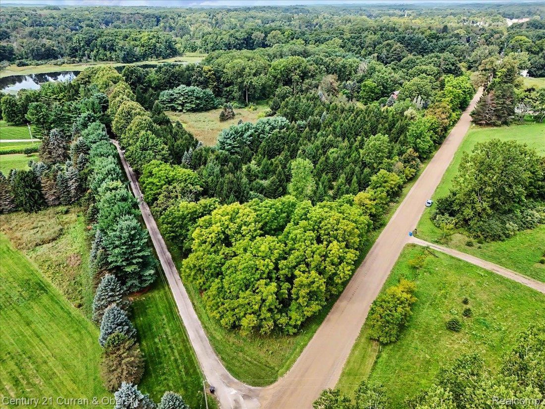 Terreno en Manchester, Míchigan, Estados Unidos 2 - 18880381
