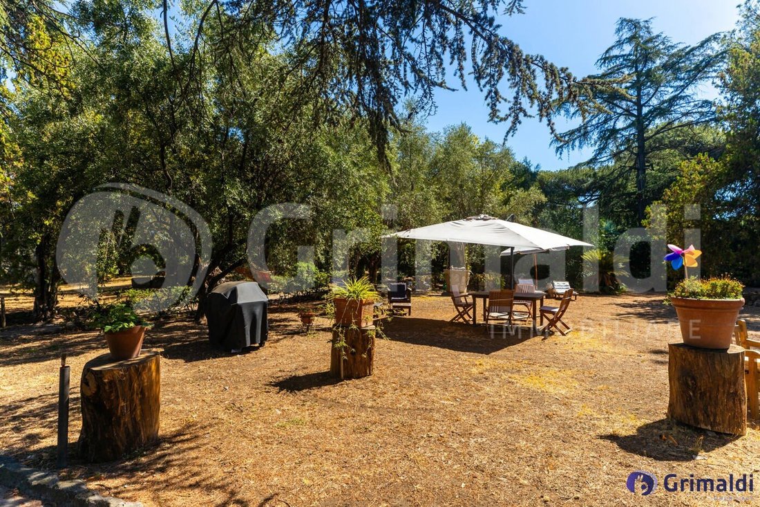 Villa a Ciampino, Lazio, Italia 5 - 17255458