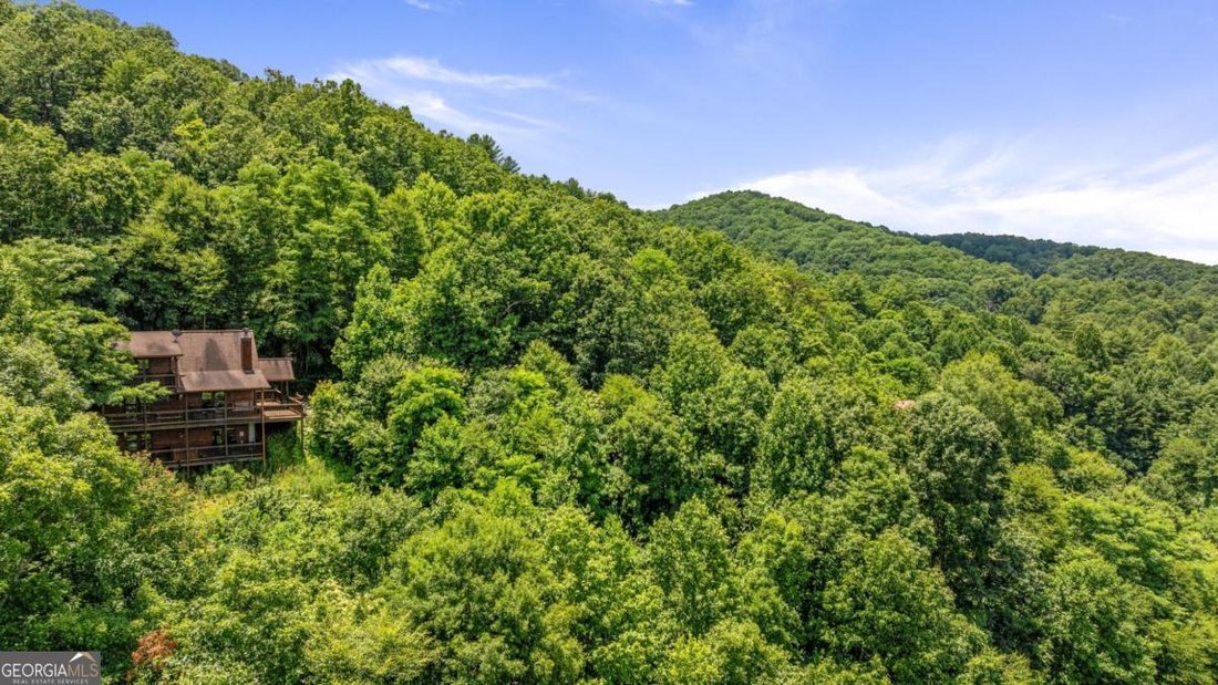 House in Mineral Bluff, Georgia, United States 5 - 18879589