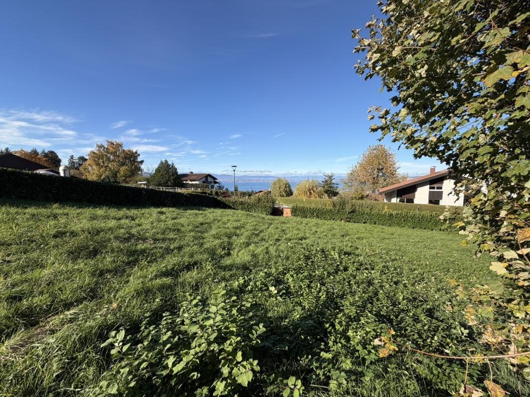 Land in Neuvecelle, Auvergne-Rhone-Alpen, Frankreich 1 - 18884280