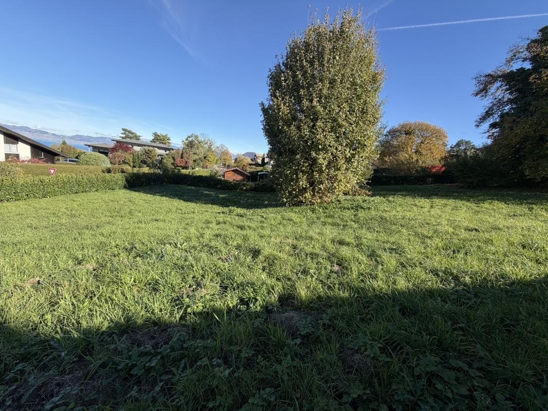 Land in Neuvecelle, Auvergne-Rhone-Alpen, Frankreich 4 - 18884280