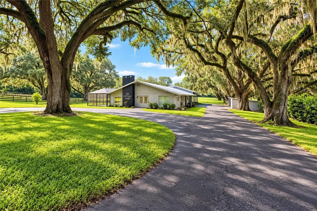 Farm Ranch in Ocala, Florida, United States 1 - 18889125