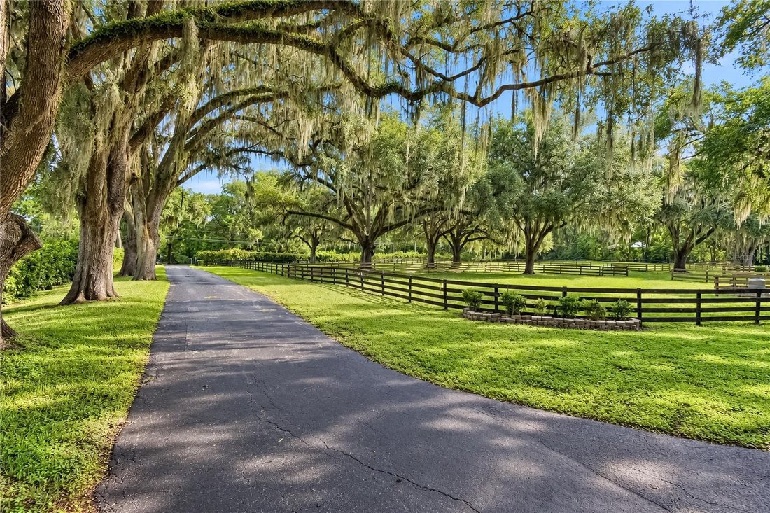 Farm Ranch in Ocala, Florida, United States 2 - 18889125
