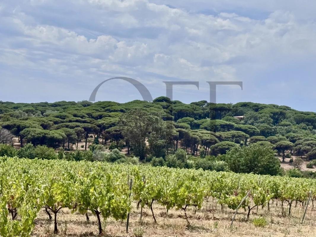 Villa in Ramatuelle, Provence-Alpes-Côte d'Azur, Frankreich 1 - 18884489