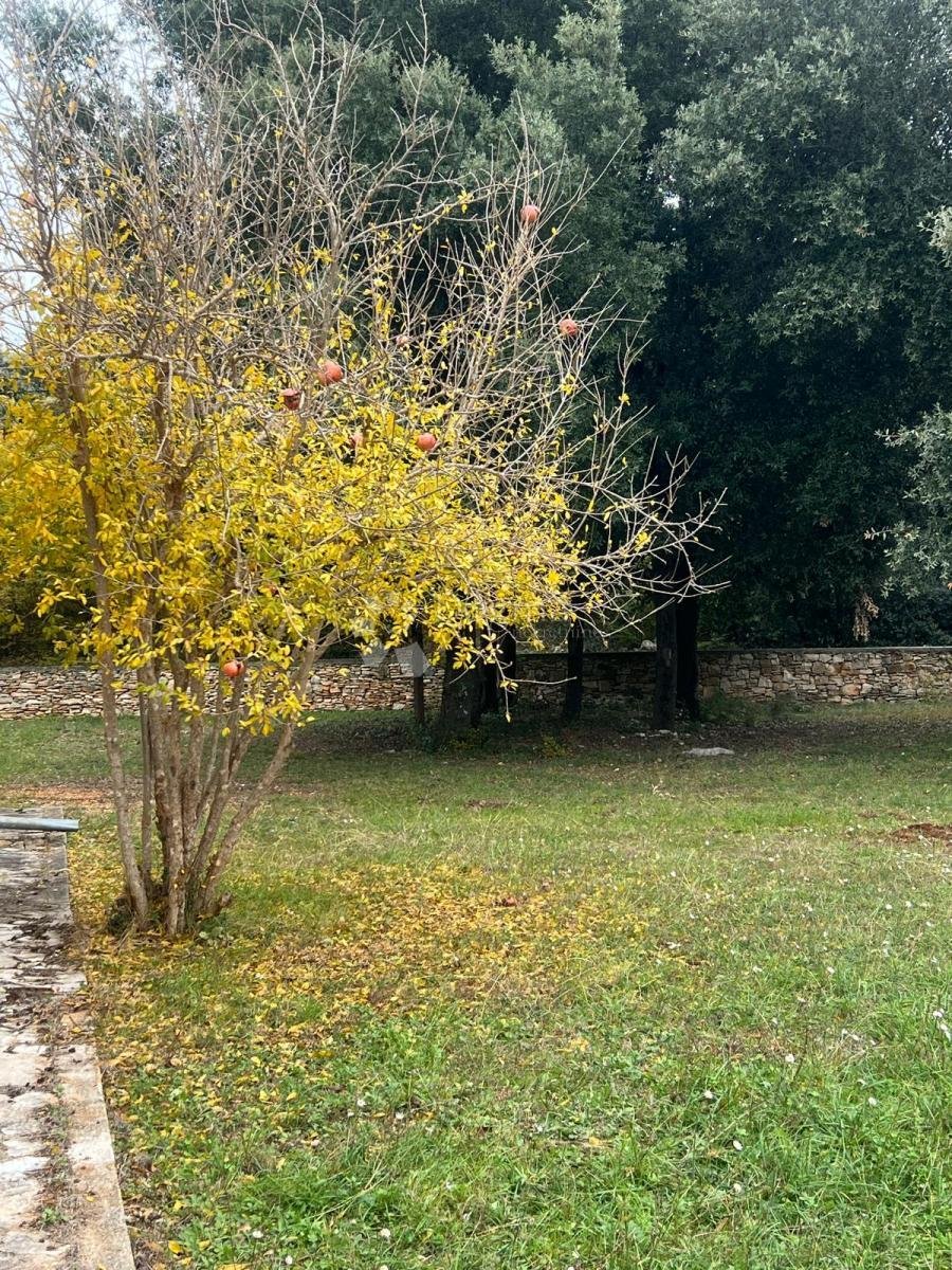 House in Rovinj, Istria County, Croatia 4 - 18891609