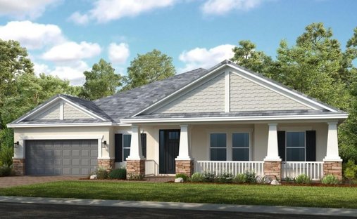 House in Odessa, Florida, United States 1