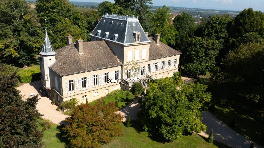 House in Mâcon, Bourgogne – Franche-Comté, France 1 - 18882809