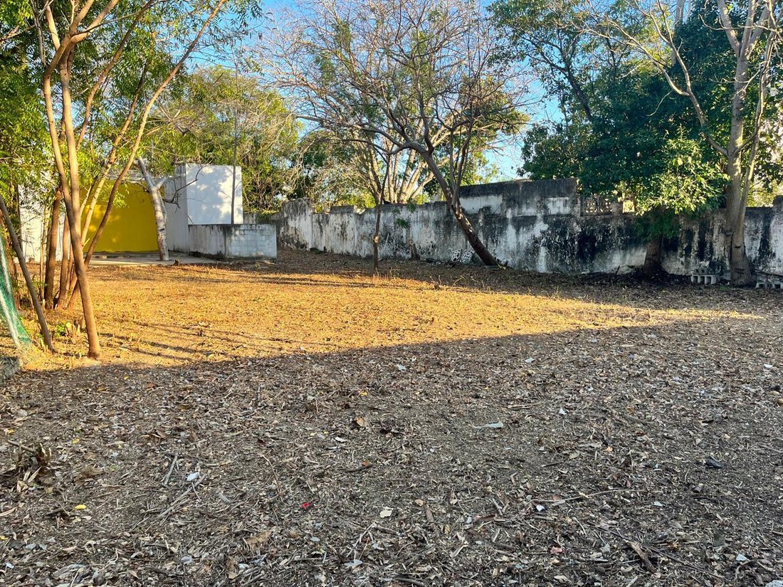 Land in Temozón Norte, Yucatán, Mexiko 1 - 18887134