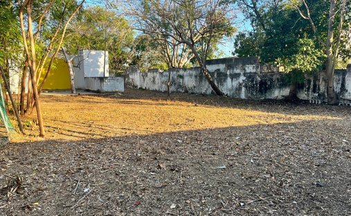Land in Temozón Norte, Yucatán, Mexiko 1