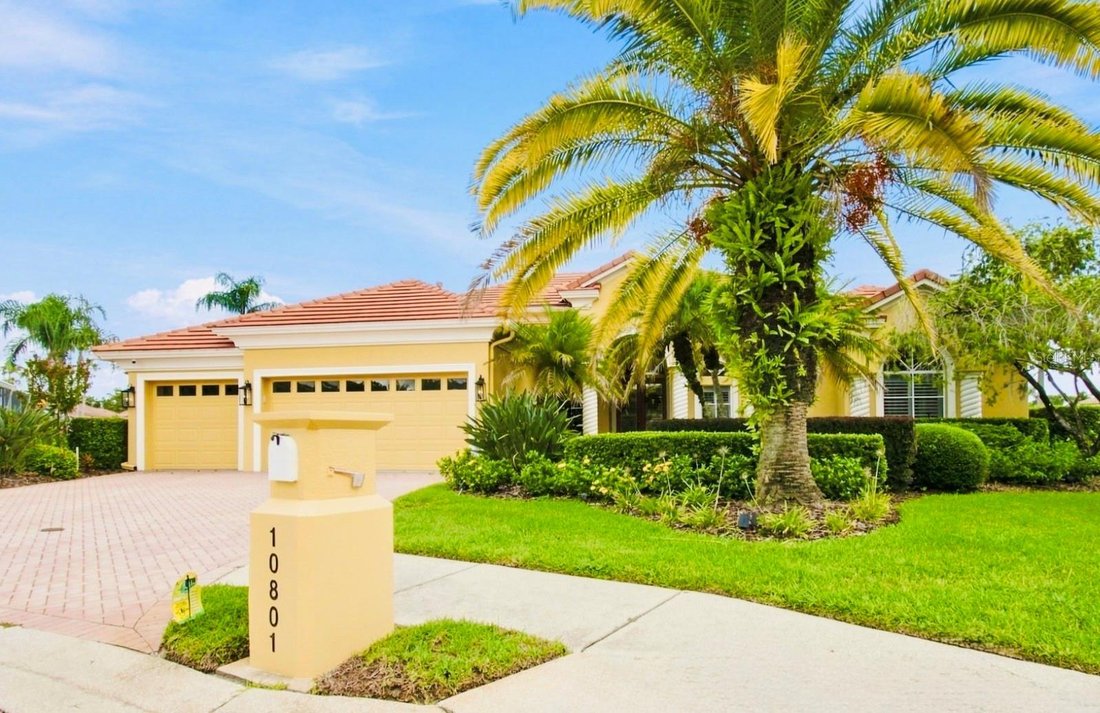 House in Tampa, Florida, United States 1 - 18879681