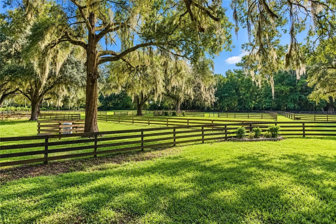Farm Ranch in Ocala, Florida, United States 5 - 18889125