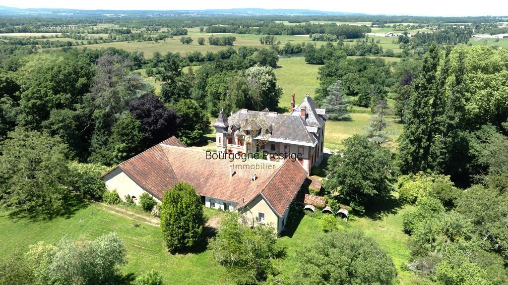 Castle in Centre Ville, Tournus, France 1 - 18882748