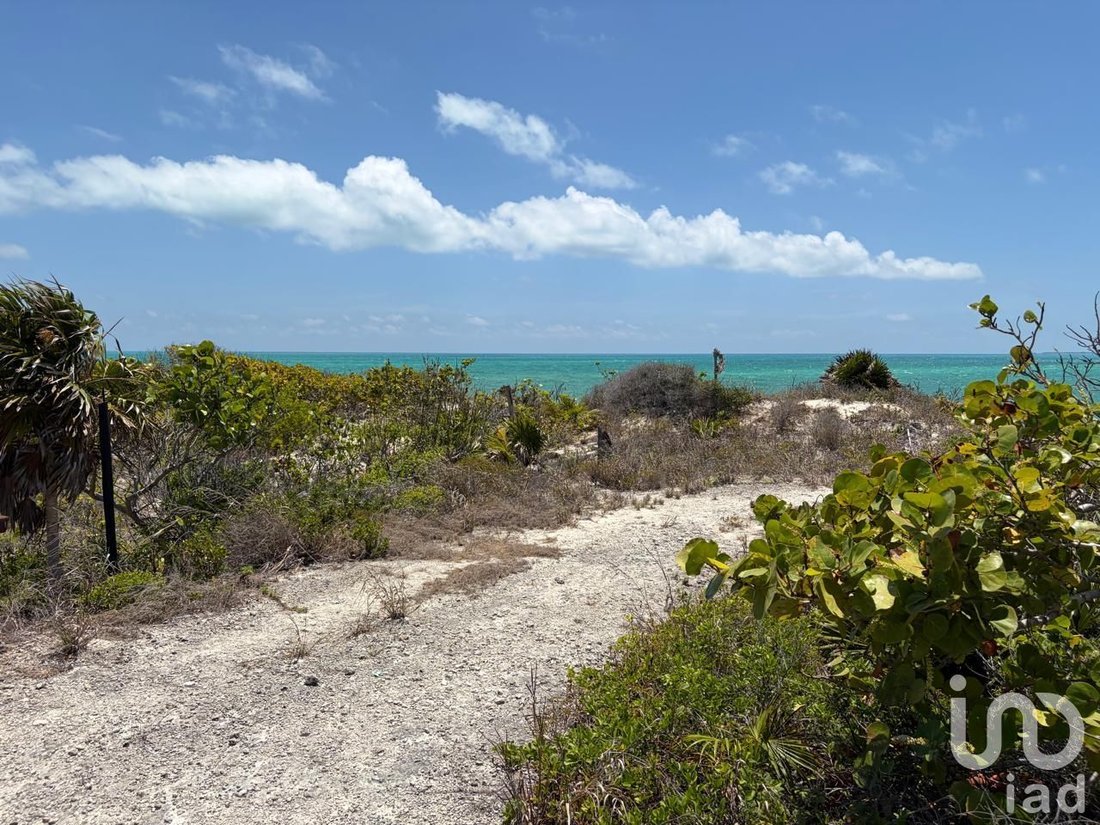 Land in Isla Mujeres, Quintana Roo, Mexico 4 - 18880202