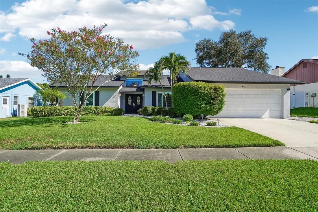 House in Palm Harbor, Florida, United States 1 - 18887142