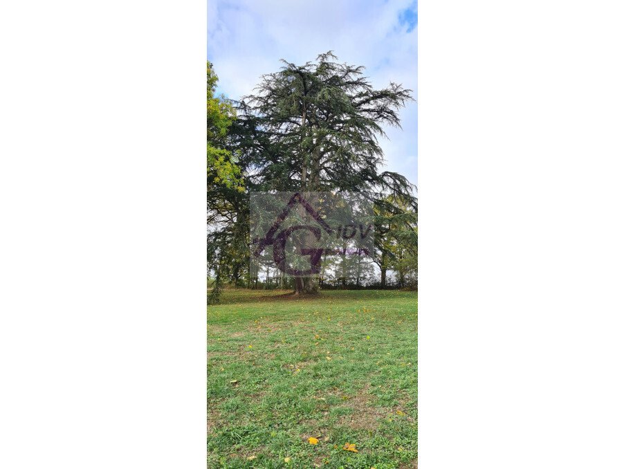 House in Grand Centre, Albi, France 2 - 18880578
