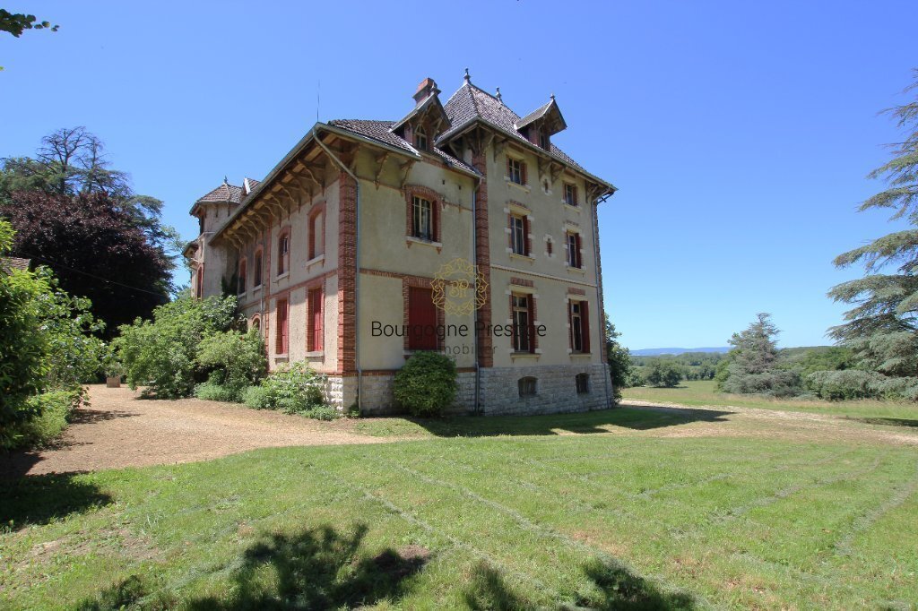 Castle in Centre Ville, Tournus, France 4 - 18882748