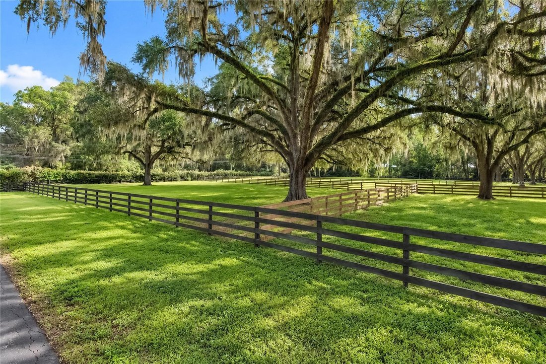 Farm Ranch in Ocala, Florida, United States 3 - 18889125