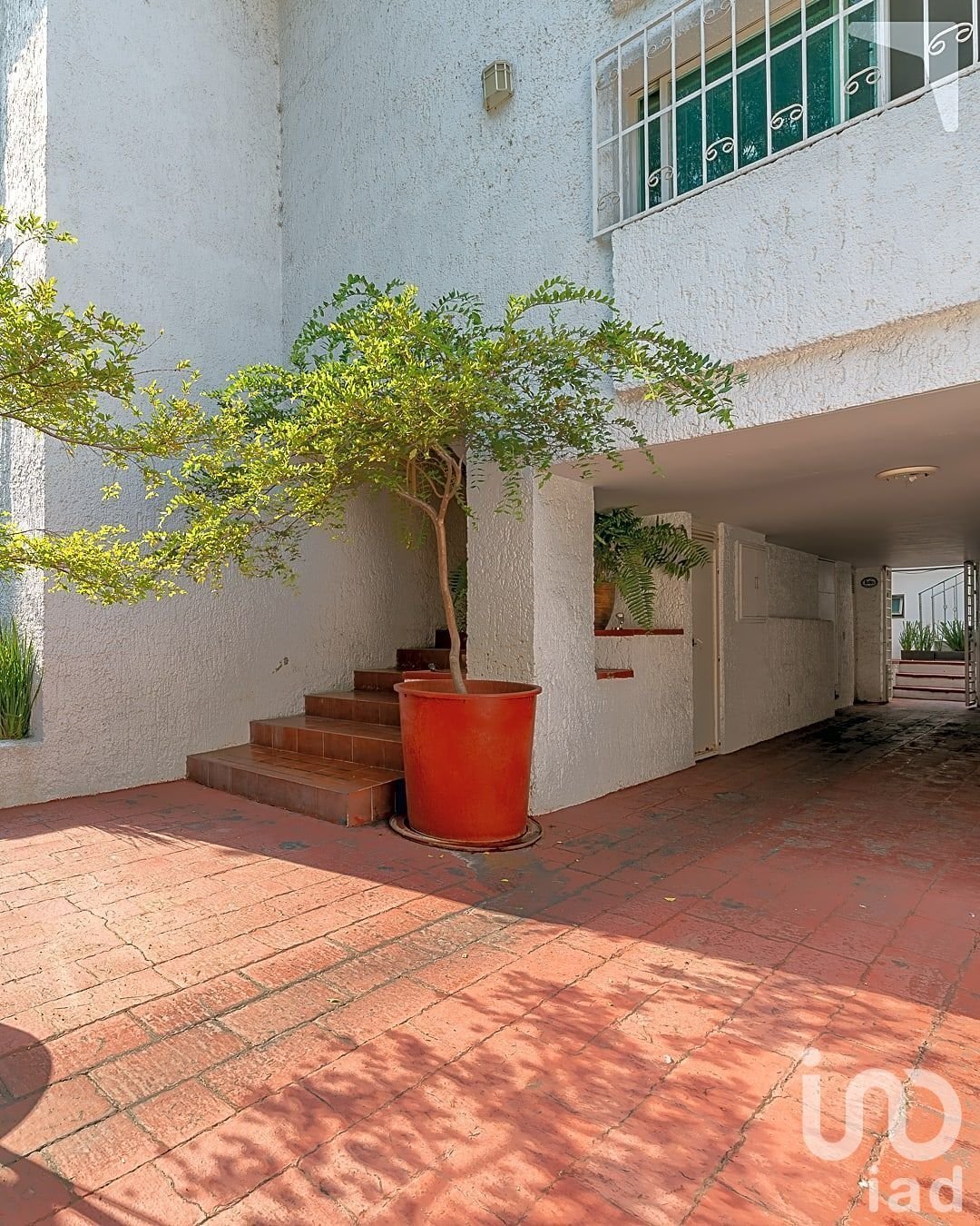 House in Guadalajara, Jalisco, Mexico 4 - 18880239