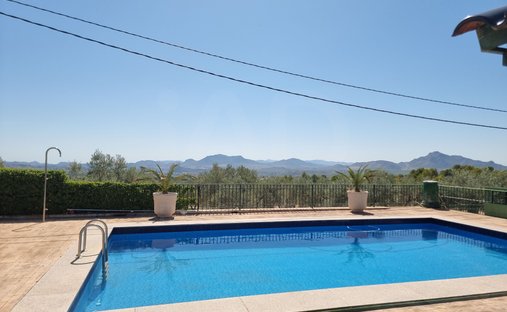 Chalet in Sax, Valencian Community, Spain 1