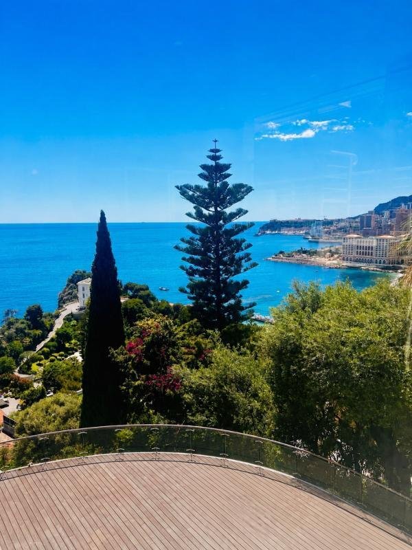 Villa in Dorf-Cros de Caste-Coupiere-Mont Gros, Roquebrune-Cap-Martin, Frankreich 5 - 18886905