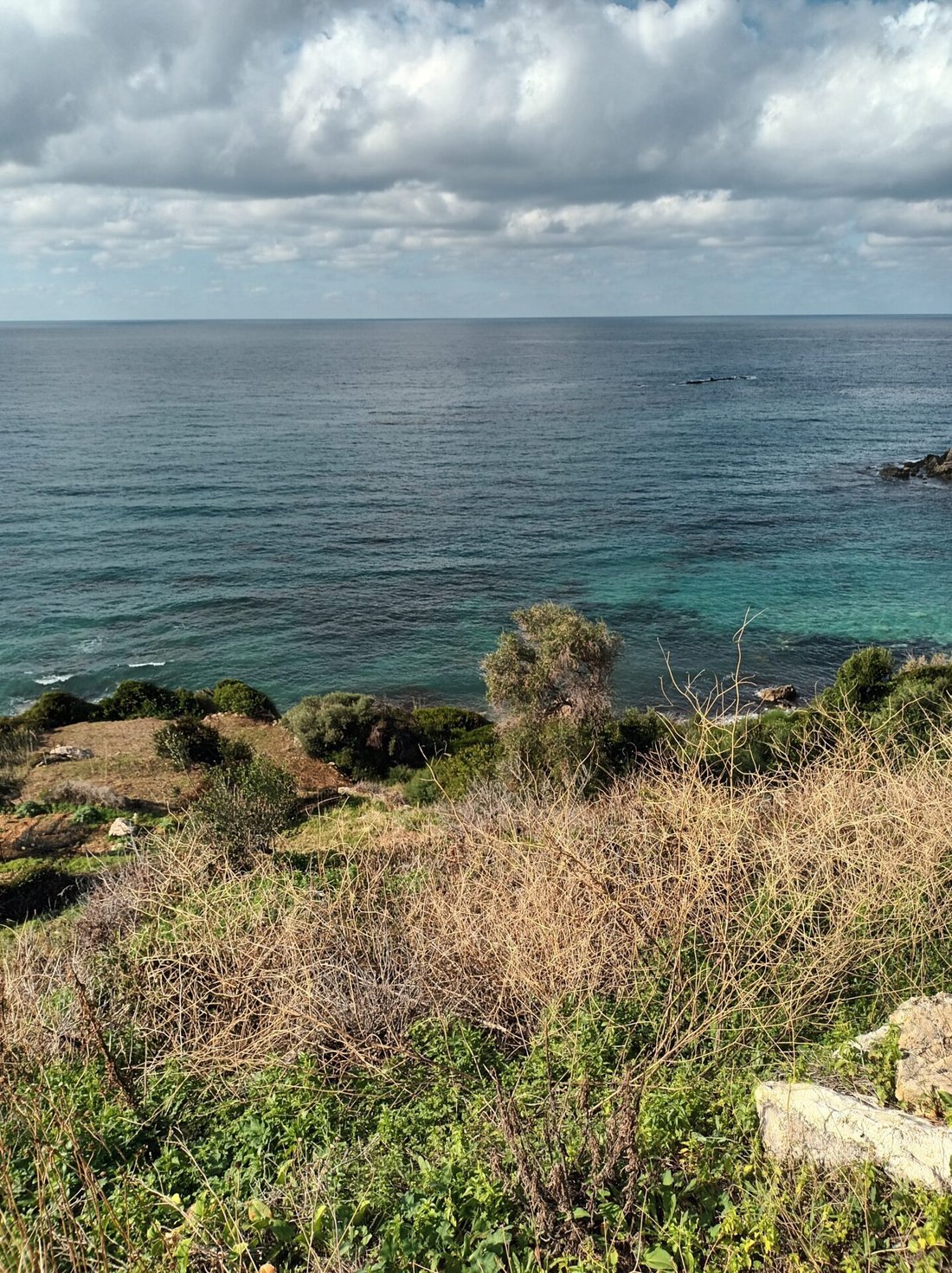Terrain à Meliteieis, Peloponnese, Western Greece and the Ionian, Grèce 2 - 18731959