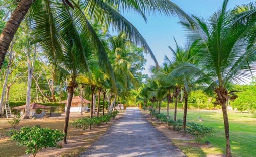 Finca en Chame, Provincia de Coclé, Panamá 1
