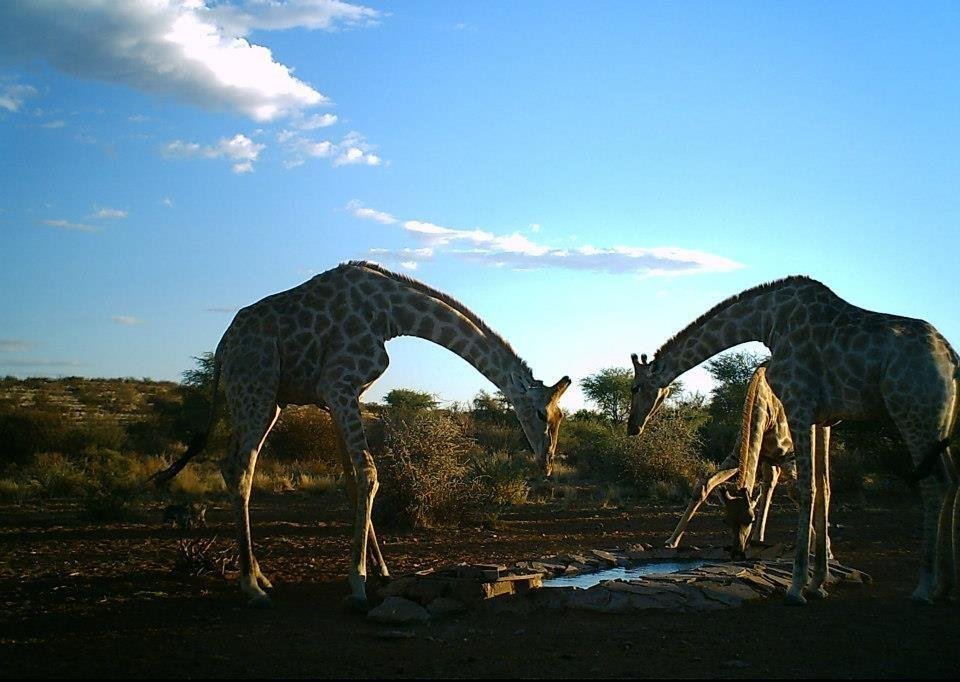 Farm Ranch in Mariental, Hardap, Namibia 4 - 18893973
