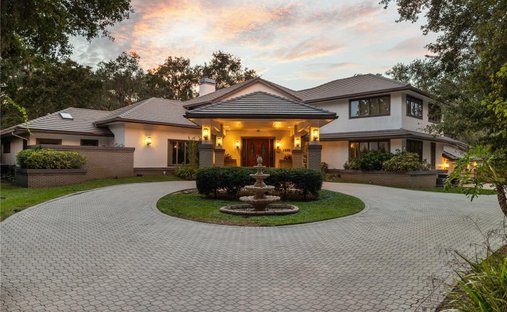 House in Oldsmar, Florida, United States 1