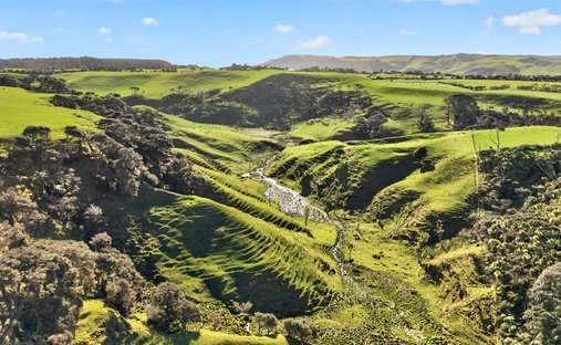 Farm Ranch in Muriwai Beach, Auckland, Neuseeland 1
