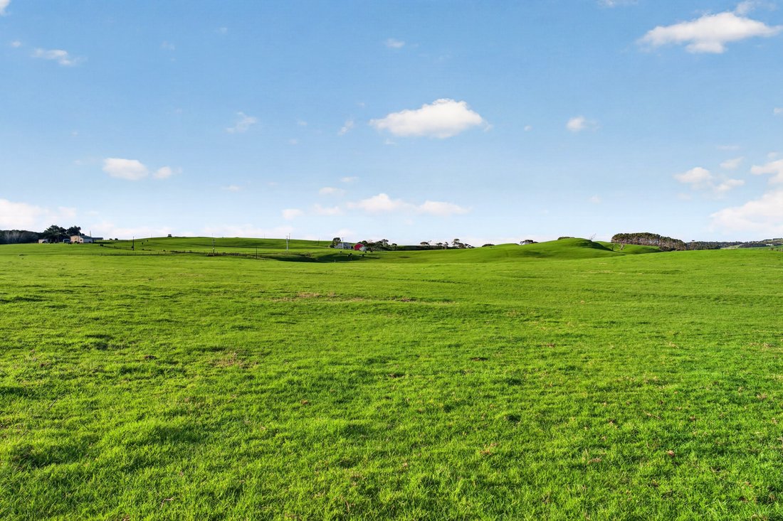 Farm Ranch in Muriwai, Auckland, New Zealand 2 - 18894341