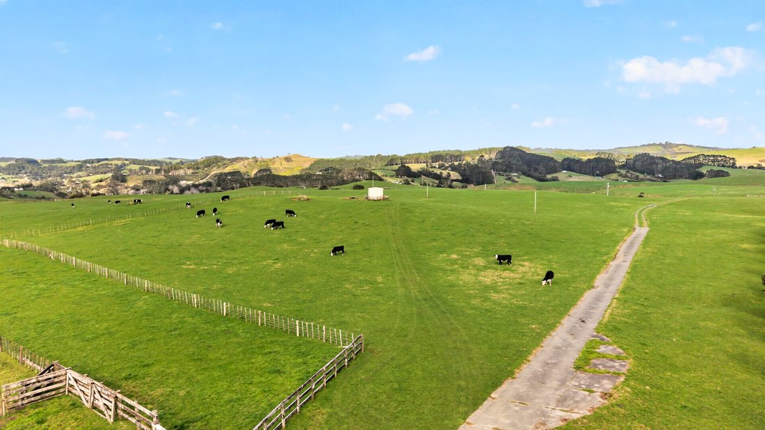 Farm Ranch in Muriwai, Auckland, New Zealand 3 - 18894341