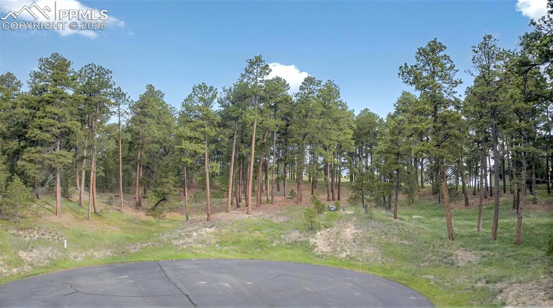 Land in Colorado Springs, Colorado, United States 1 - 15639669