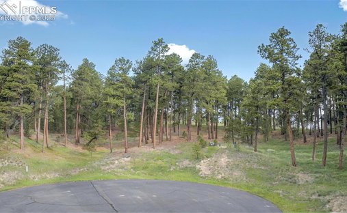 Terreno a Colorado Springs, Colorado, Stati Uniti 1