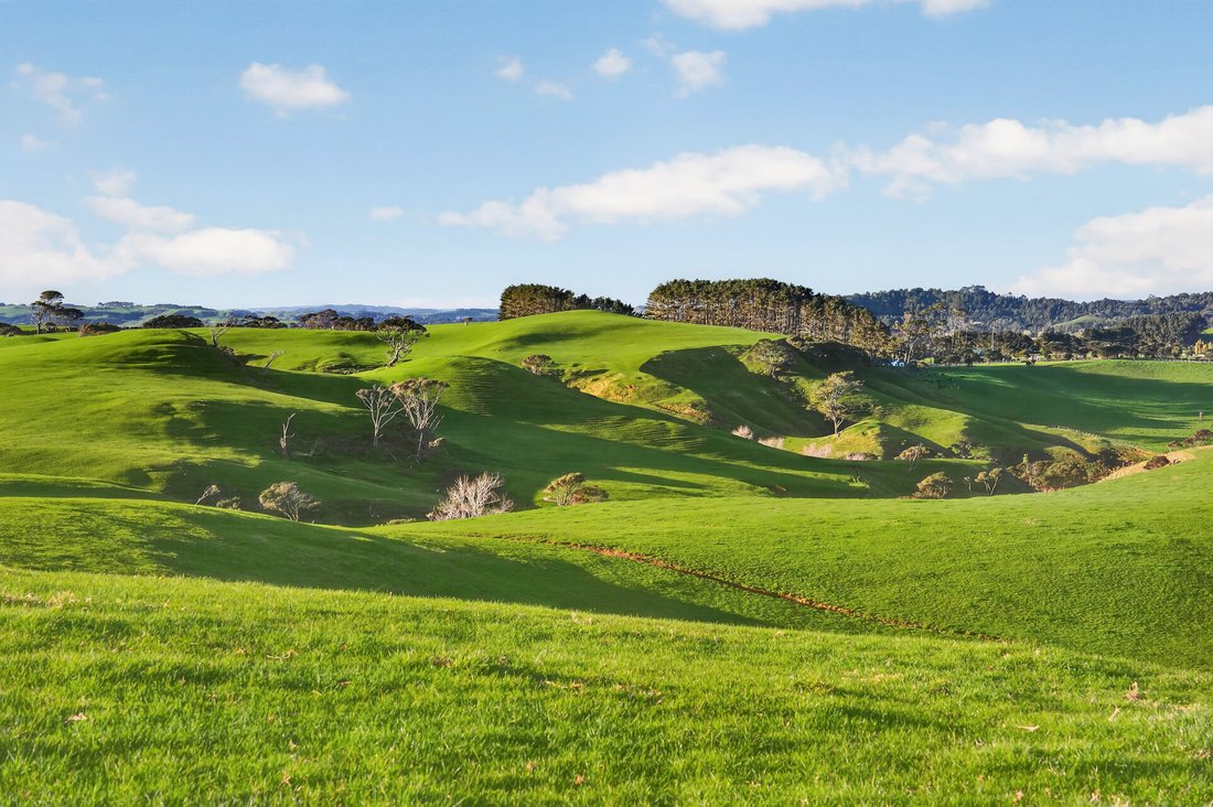 Farm Ranch in Muriwai, Auckland, New Zealand 1 - 18894341