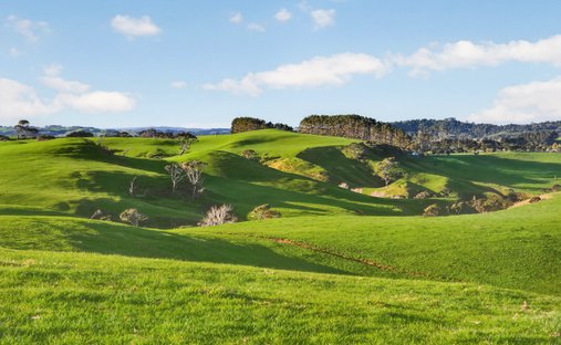 Azienda agricola a Muriwai, Auckland, Nuova Zelanda 1