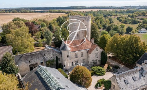 Castle in Droizy, Hauts-de-France, France 1
