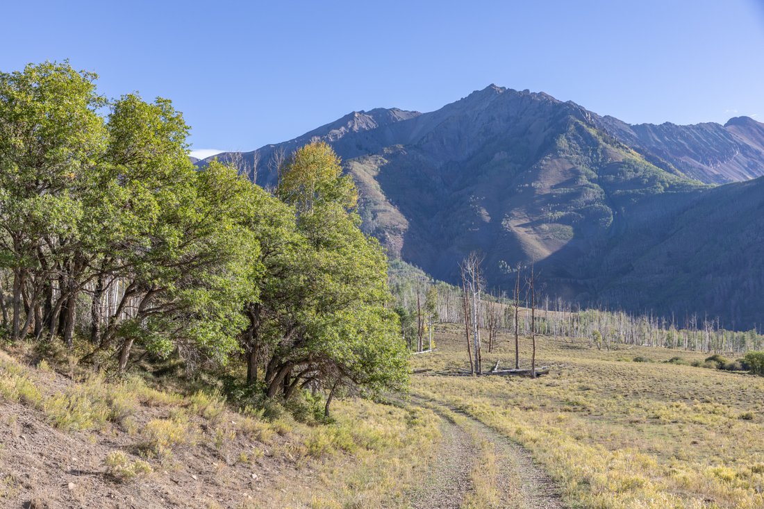 Mountain Village, Colorado, United States 4 - 18894524