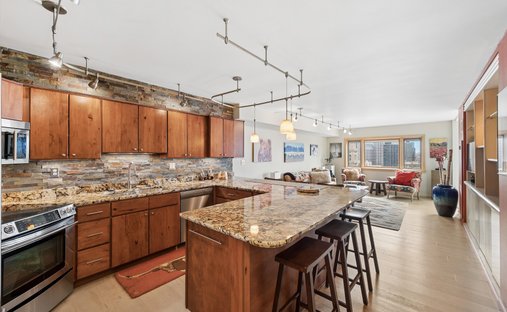 Condominio a Denver, Colorado, Stati Uniti 1
